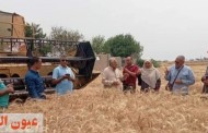 محافظ الشرقية يُتابع أعمال حصاد القمح بأحد الحقول الزراعية بمدينة الصالحية الجديدة للوقوف على إنتاجية الفدان وطرق الزراعة والري