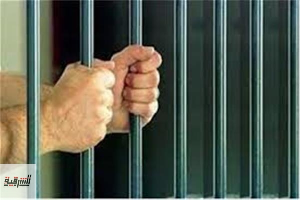 السجن 3 سنوات لعنصر منتمي للجماعة الإرهابية بأبوحماد