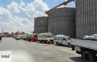 صوامع وشون الشرقية تفتح أبوابها لإستقبال29151 طن من حصاد الخير