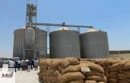 إنتظام سير عملية توريد القمح لصوامع وشون محافظة الشرقية
