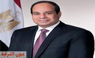 الرئيس السيسي يمنح الأمان لـ 28 مليون إمرأة مصرية