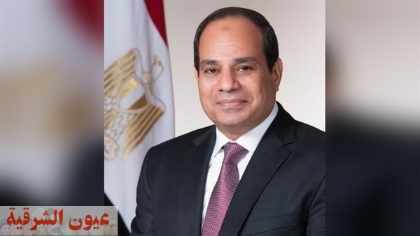 «لمساندة الدولة».. الرئاسة المصرية تصدر قرارين جمهوريين