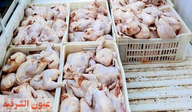 بيطري الشرقية يحرر 7 محاضر مخالفة ويضبط 4 طن دجاج و100 كجم دهون و69 كجم كبده غير صالحة للإستهلاك الآدمي