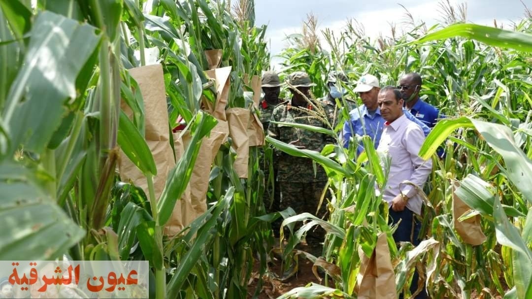 وزير الزراعة : الـ 6 سنوات الماضية شهدت طفرة في إنشاء المزارع المصرية في افريقيا