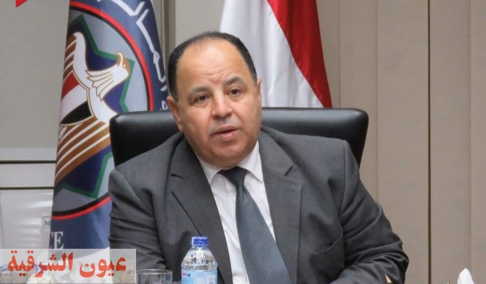 وزير المالية: صندوق لضمان وتحفيز الإستهلاك لدفع عجلة الإقتصاد المصري برأسمال 2 مليار جنيه