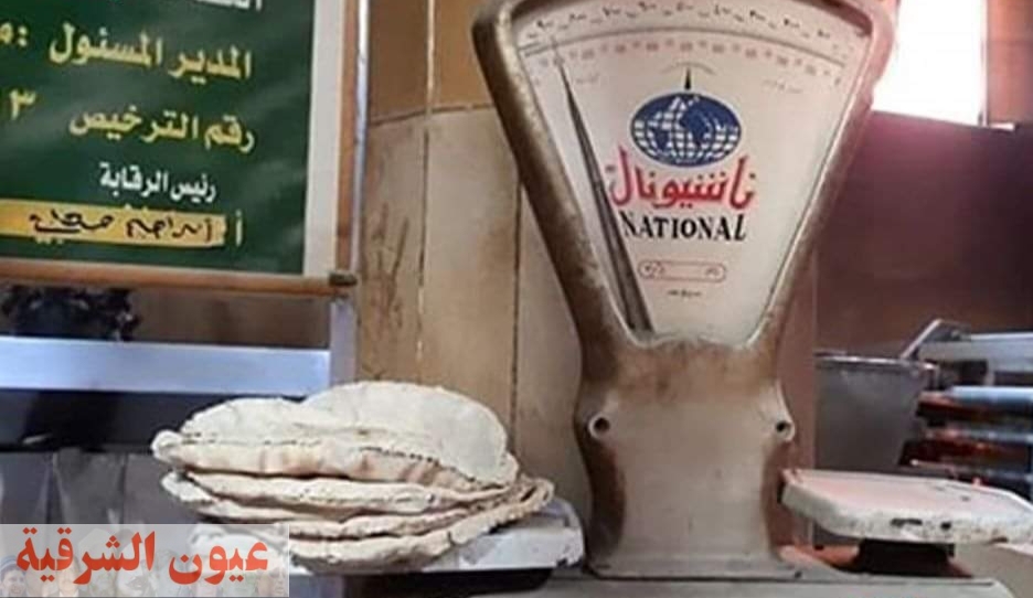 حملات تفتيشية على المحال التجارية غير المرخصة والمخابز المخالفة بمركز منيا القمح