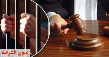 السجن المشدد 3 سنوات لـ«لصوص المساكن» بالشرقية