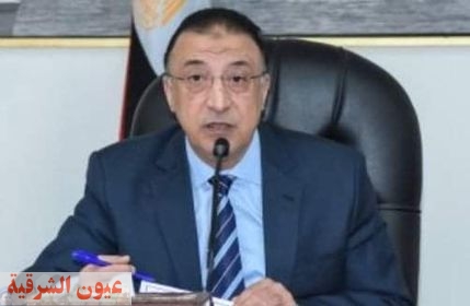 محافظ الأسكندرية يتفقد اللجان الأنتخابية بمنطقة الجمرك لمتابعة انتخابات مجلس النواب