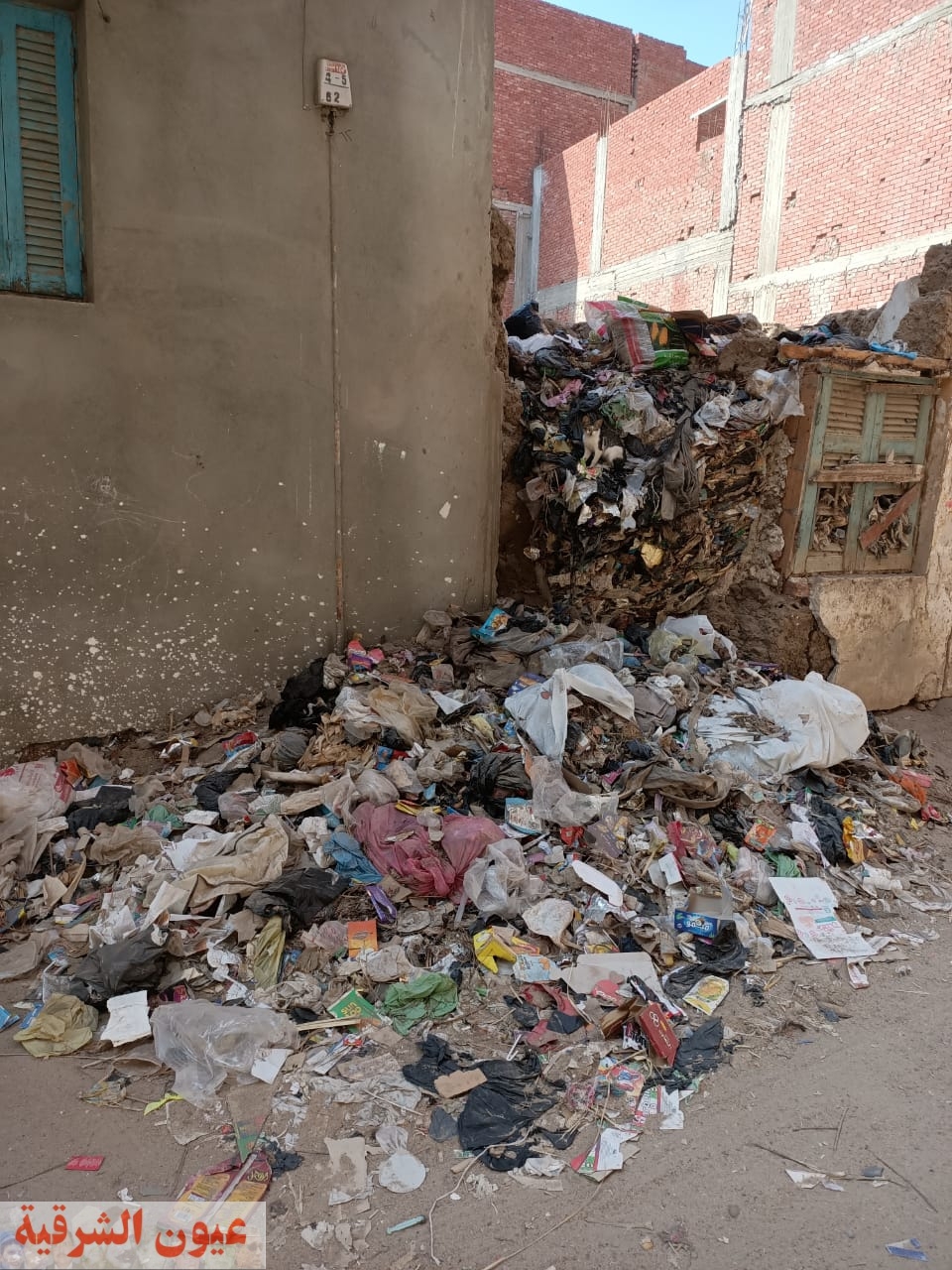 بالصور..القمامة تهدد صحة مواطنى شارع دمياط بمنشية أبوحماد