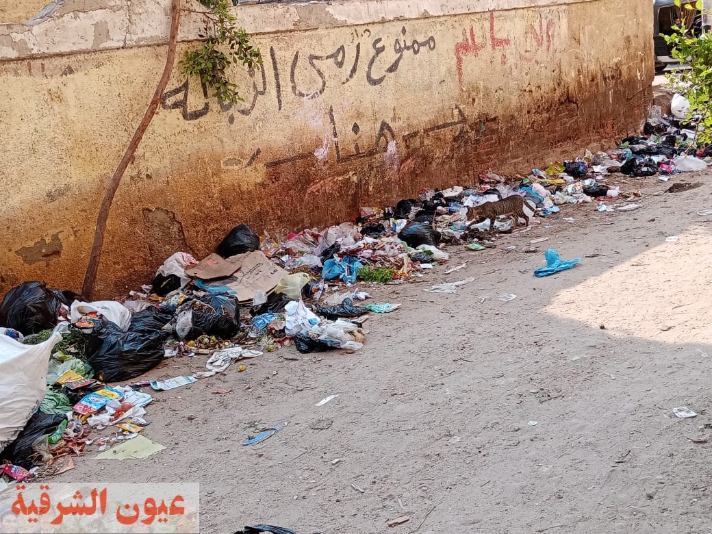أكوام القمامة تهدد صحة مواطنى شارع هارون الرشيد فى أبوحماد البلد