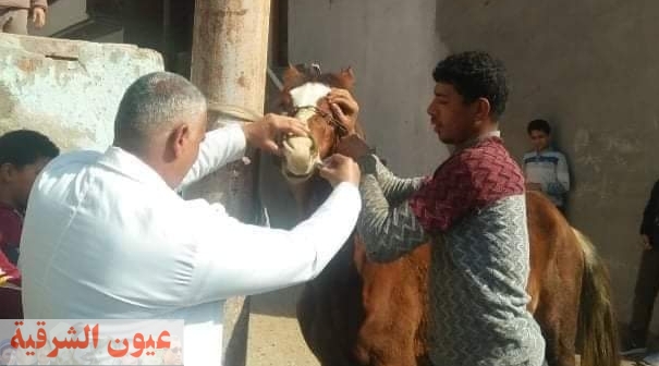 جامعة الزقازيق توجه قافلة طبية بيطرية إلي قرية أبو لطفي بأبوحماد وسط إجراءات إحترازية ووقائية مشددة