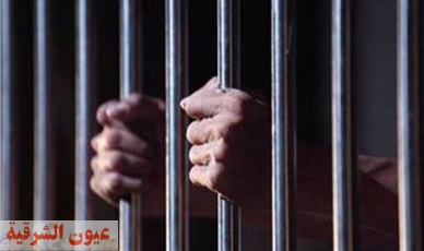 السجن المشدد ٦ و١٠ سنوات لتاجري المخدرات بالشرقية