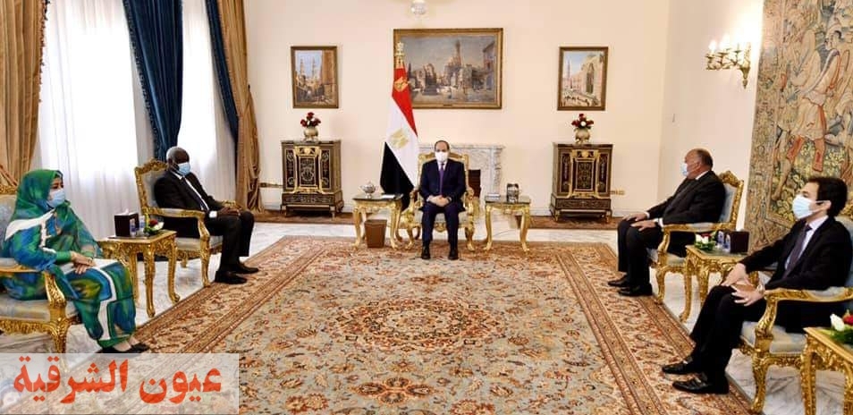 الرئيس السيسي يؤكد : مصر لم ولن تدخر جهداً تجاه دعم أشقائها الأفارقة..وستظل دائماً يدها ممدودة للتعاون والبناء والتنمية
