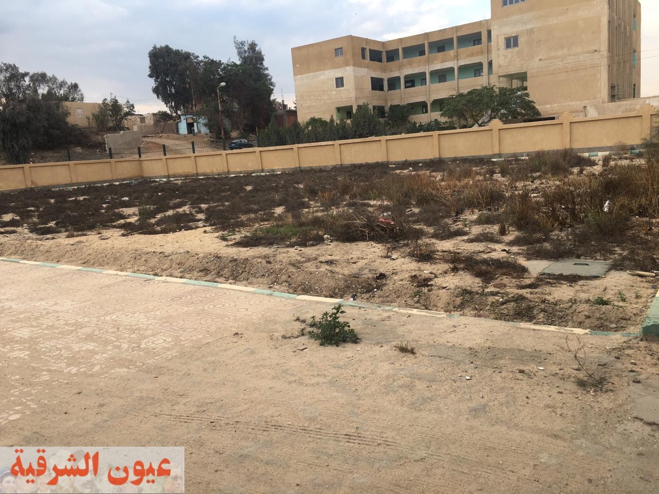 الثعابين السامة تهاجم قرية السعدية.. والأهالي تناشد محافظ الشرقية ووزارة الصحة لإنقاذهم