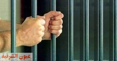 السجن المشدد ل 5 أشخاص بتهمة التزوير والإستيلاء على 411 ألف جنيه بالشرقية
