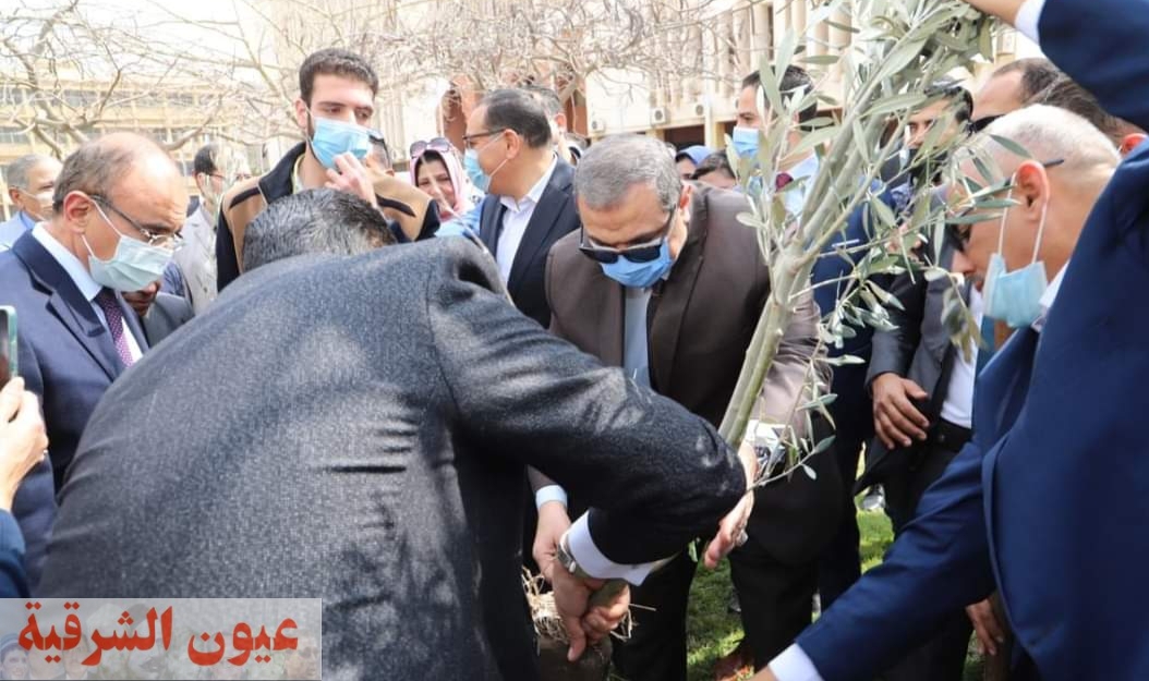 وزير القوى العاملة ومحافظ الشرقية ورئيس جامعة الزقازيق يزرعون أشجار الزيتون في إطار مبادرة 