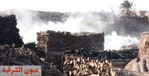 مكامير الفحم كارثة تهدد حياة و صحة المواطنين فى محافظة الشرقية