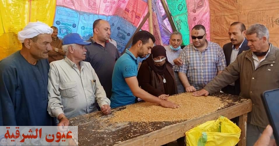 رئيس مركز ومدينة ههيا تتفقد عملية توريد القمح المحلي..وتوريد11 ألف طن لصومعة ههيا