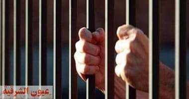 السجن المشدد 9 و6 سنوات لشخصين بتهمة الاتجار في مواد مخدرة بالشرقية