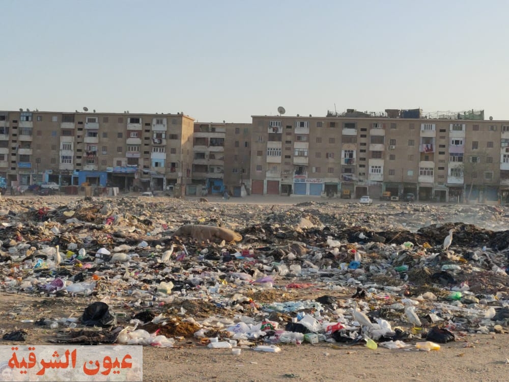 أكوام القمامة عنوان قرية الصوة بأبو حماد