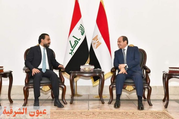 الرئيس يؤكد علي قوة ومتانة العلاقات المصرية العراقية وتقدير مصر لتاريخ العراق