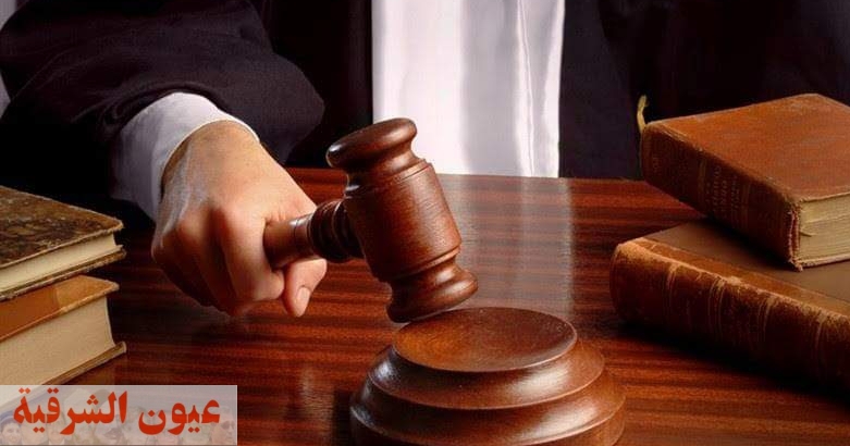 تأجيل محاكمة موظفي الري المختلسين لجلسة 28 يونيو
