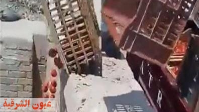 «الداخلية» تكشف تفاصيل فيديو إلقاء «حمولة طماطم» في مصرف بالشرقية