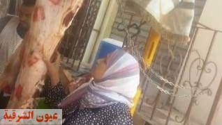 محافظ ومدير أمن الشرقية يؤديان صلاة عيد الأضحى بمسجد الفتح بمدينة الزقازيق