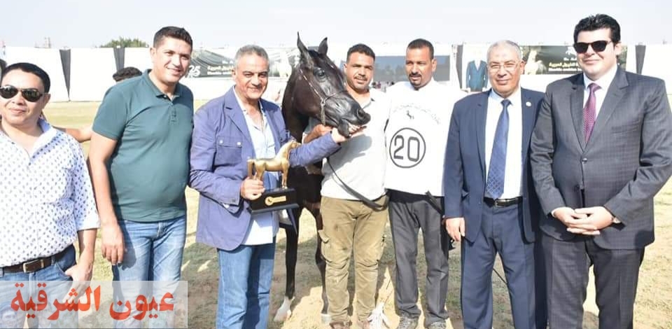 نائب محافظ الشرقية والسكرتير العام يكرمان الفائزين فى مسابقة جمال الخيول العربية بأرض الفروسية ببلبيس