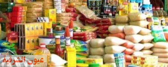 جهاز حماية المستهلك يضبط ٩ طن سلع غذائية منتهية الصلاحية في حملات رقابية على الأسواق بالشرقية