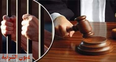 السجن المشدد 6 سنوات لـ«ذئب بشري» بالشرقية