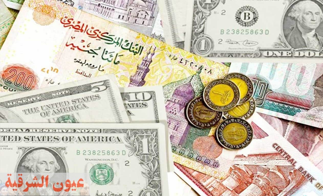 أسعار العملات الأجنبية والعربية في مصر اليوم الخميس 9 ديسمبر 2021