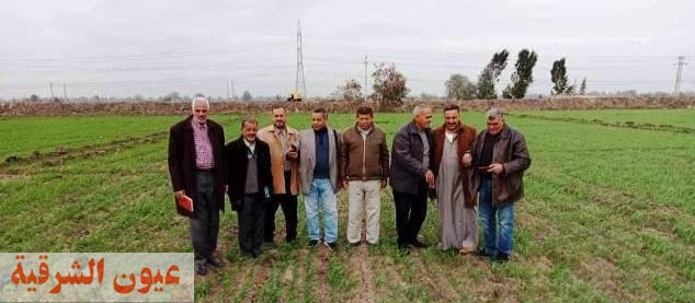 زراعة الشرقية تنفذ ندوة إرشادية لمزارعي قرية المناجاة بالحسينية لزيادة إنتاجية محصول القمح