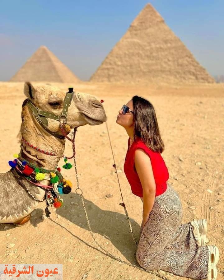 'بتحب الفول والطعمية'.. نجمة بوليوود هينا خان بصحبة خطيبها في مصر | التفاصيل الكاملة