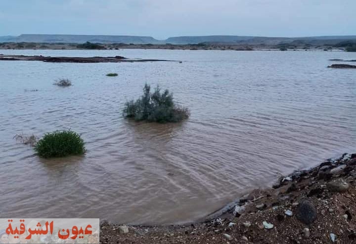 كيف تعاملت مصر مع أزمة الأمطار والسيول الأخيرة؟.. وزير الري يجيب