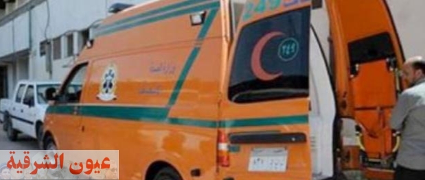 مصرع شخص صدمته سيارة مسرعة بمدينة ميت غمر بالدقهلية