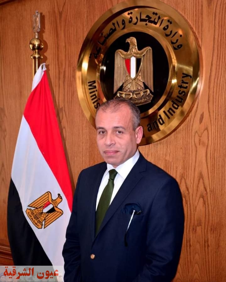 تنفيذ الخطة التنفيذية لرؤية مصر خلال رئاستها لتجمع 