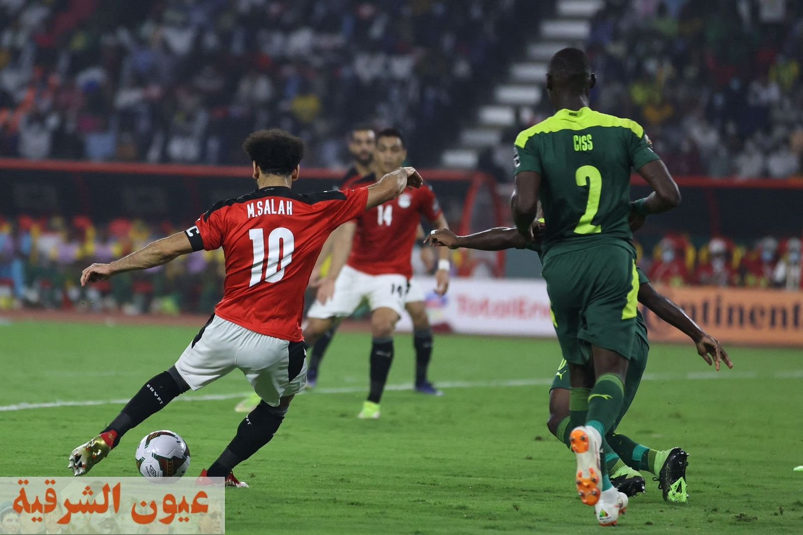 نجم مصر السابق: يكشف صعوبة مباراة مصر أمام السنغال