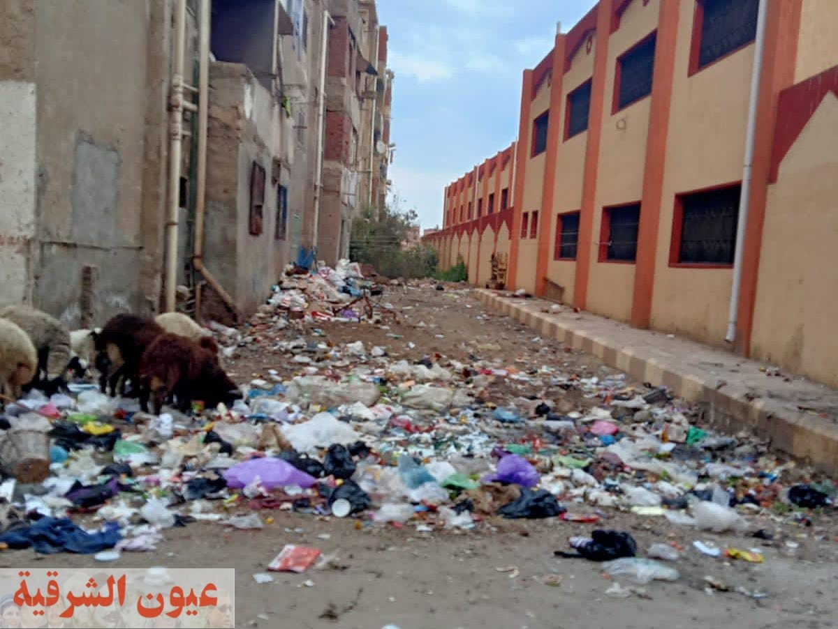 القمامة تحاصر شارع الساحة الشعبية فى منيا القمح