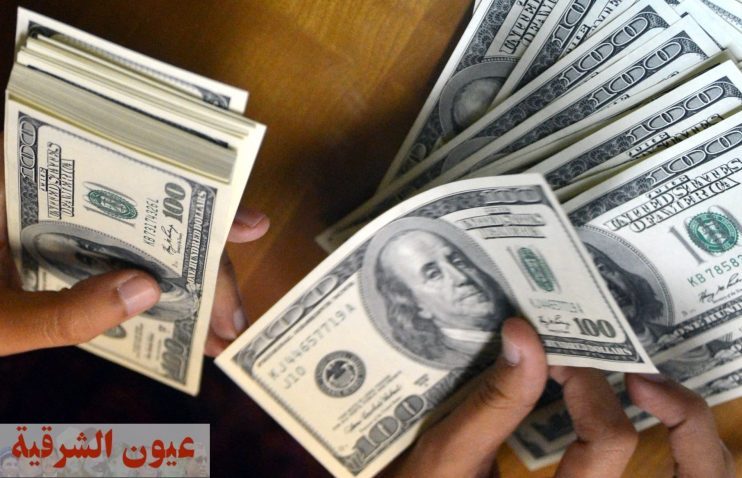 سجل عيار «21» نحو 1059 جنيهًا.. أسعار الذهب في مصر اليوم الأربعاء 10-8-2022