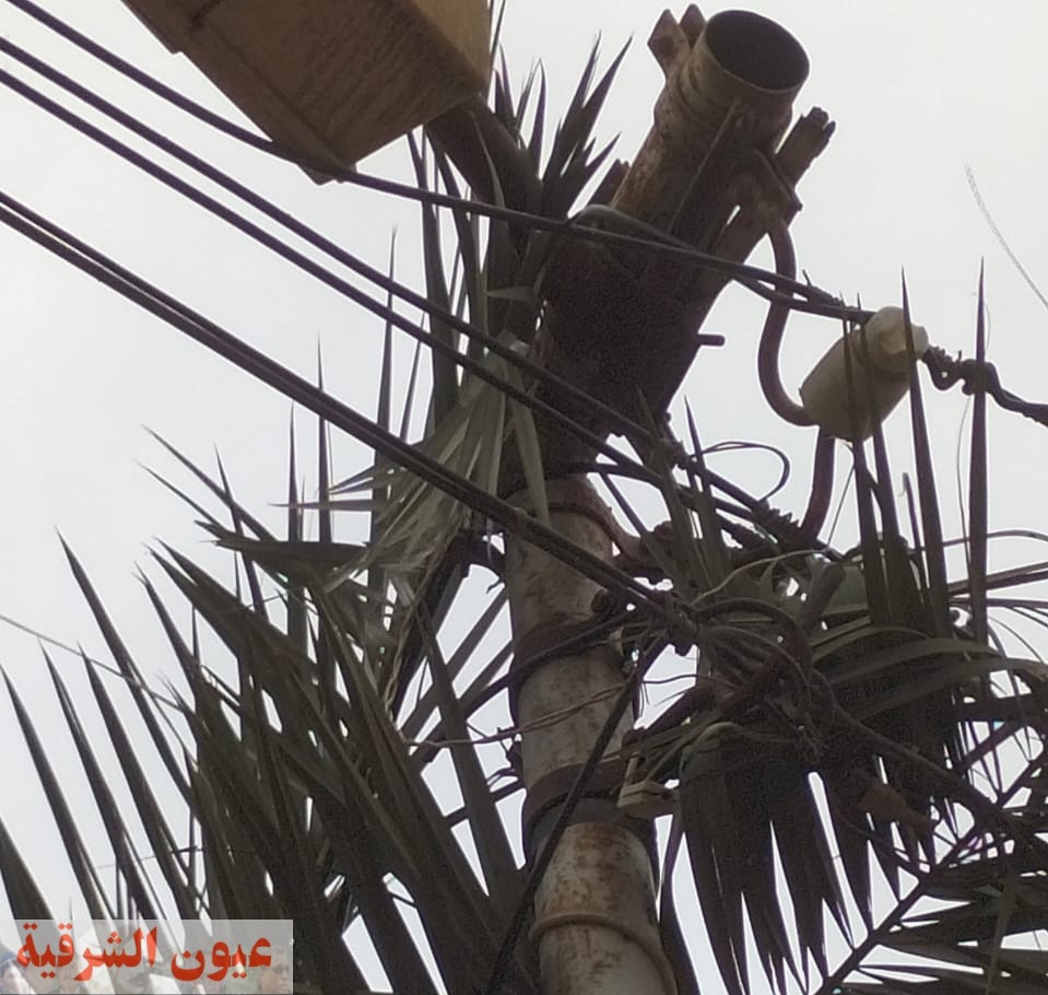 وسط تقاعس المسؤولين...عمود كهرباء متهالك يهدد مواطني الهمشرية فى أبوحماد