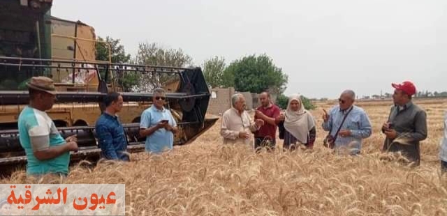 محافظ الشرقية يُتابع أعمال حصاد القمح بأحد الحقول الزراعية بمدينة الصالحية الجديدة للوقوف على إنتاجية الفدان وطرق الزراعة والري