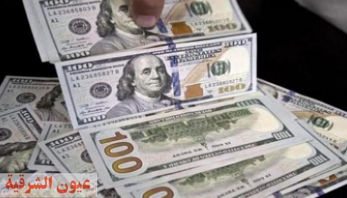 سعر الدولار مقابل الجنيه في البنوك الرسمية اليوم الثلاثاء 2023-11-21