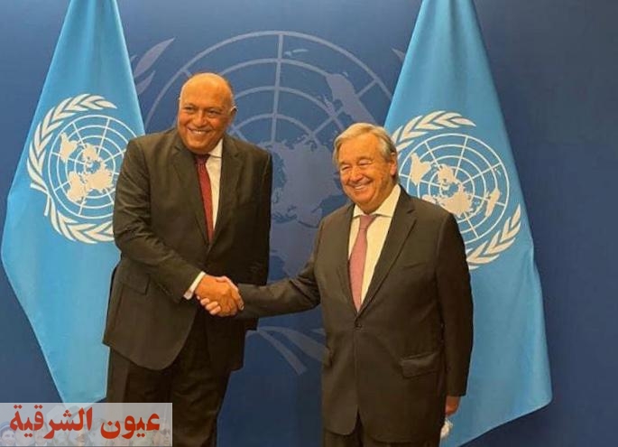 وزير الخارجية المصري يلتقي مع السكرتير العام للأمم المتحدة