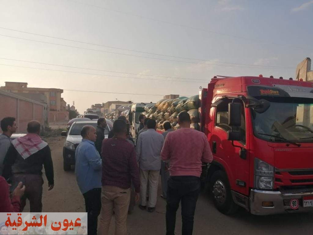 محافظ بورسعيد يوريد أكثر من 100 طن شعير الي مصنع مضرب الأرز