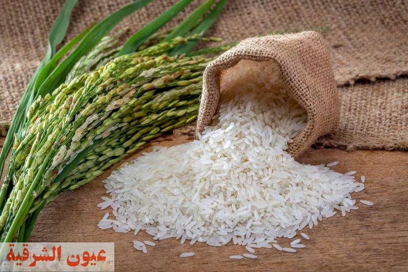 التموين: إعطاء فرصة لحائزي الأرز الأبيض والشعير من ‏مزارعين حتى 4 ديسمبر المقبل