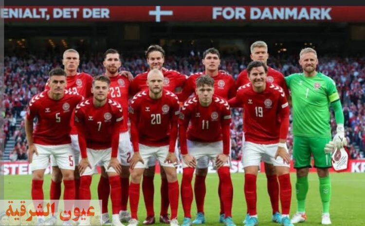  تشكيل منتخب الدنمارك المتوقع لمواجهة تونس في كأس العالم
