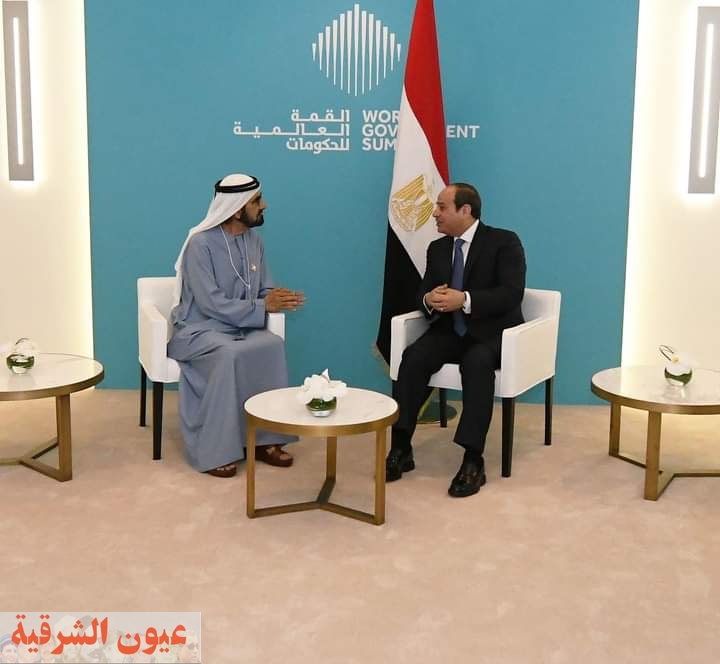 رئيس الجمهورية يلتقي مع نائب رئيس دولة الإمارات العربية المتحدة