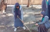 طلبة المدرسة الزراعية بالإسماعيلية يشاركون في المبادرة الرئاسية 100مليون شجرة 