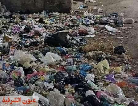 رئيس الوحدة المحلية بالعصلوجي ‏ شاهد مشفش حاجه.. تلال القمامة تحيط بمداخل القرية